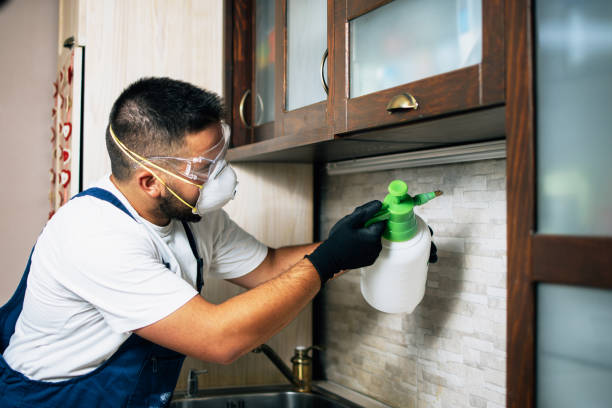 Best Affordable Pest Control Services  in Milford, NE