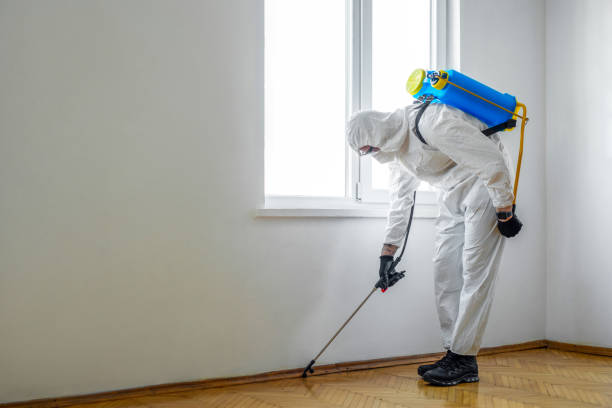 Best Pest Removal Services  in Milford, NE