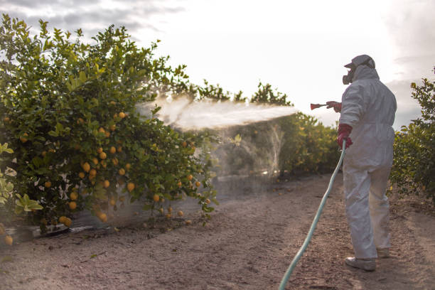 Trusted Milford, NE Pest Control Experts