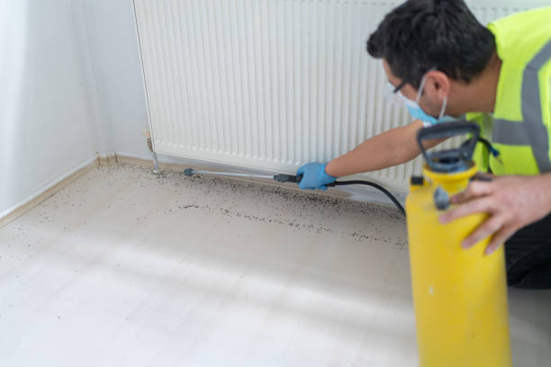 Best Bed Bug Extermination  in Milford, NE