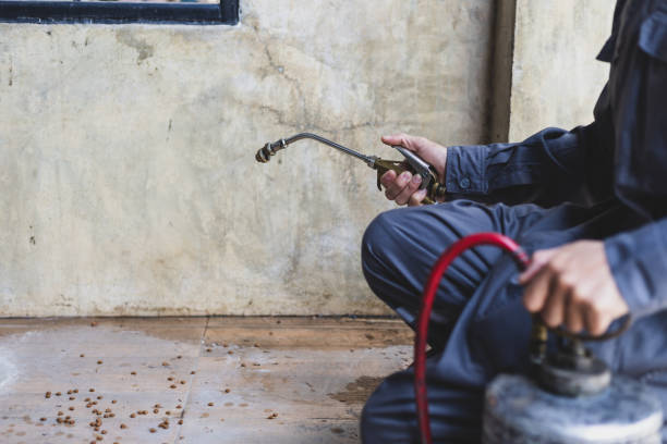 Best Best Pest Control Companies  in Milford, NE