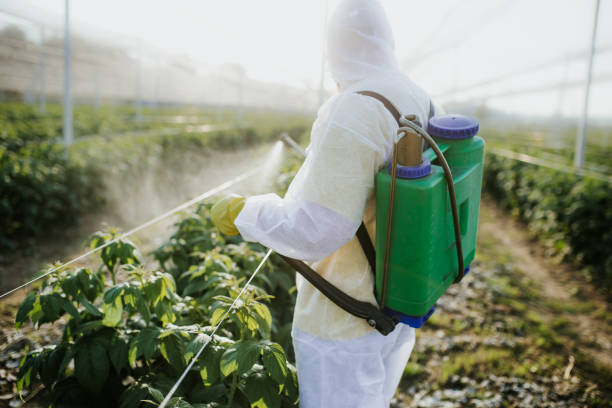 Best Residential Pest Control  in Milford, NE